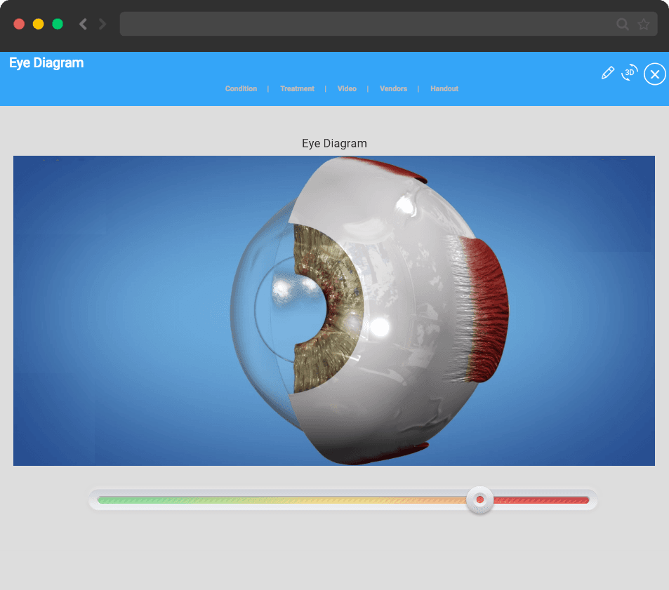 eye health portal 3.jpg